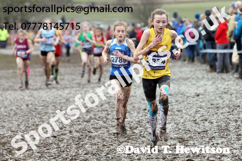 Girls under-13s 2018 British Inter Counties Cross Country Champs., Prestwold Hall, Loughborough. Photo: David T. Hewitson/Sports for All Pics